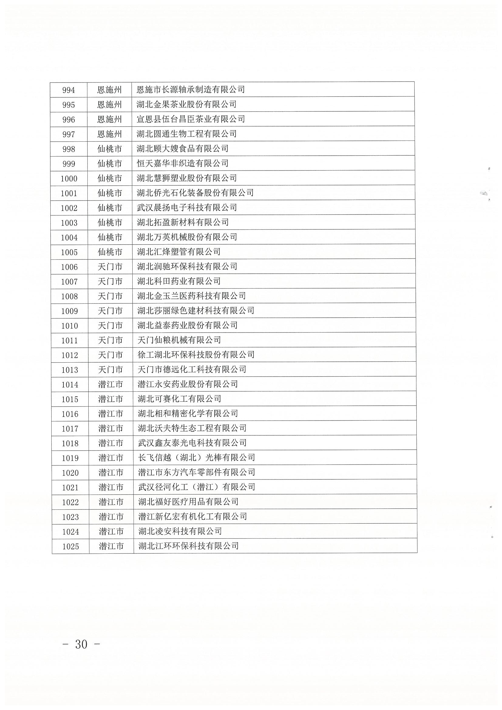 小巨人