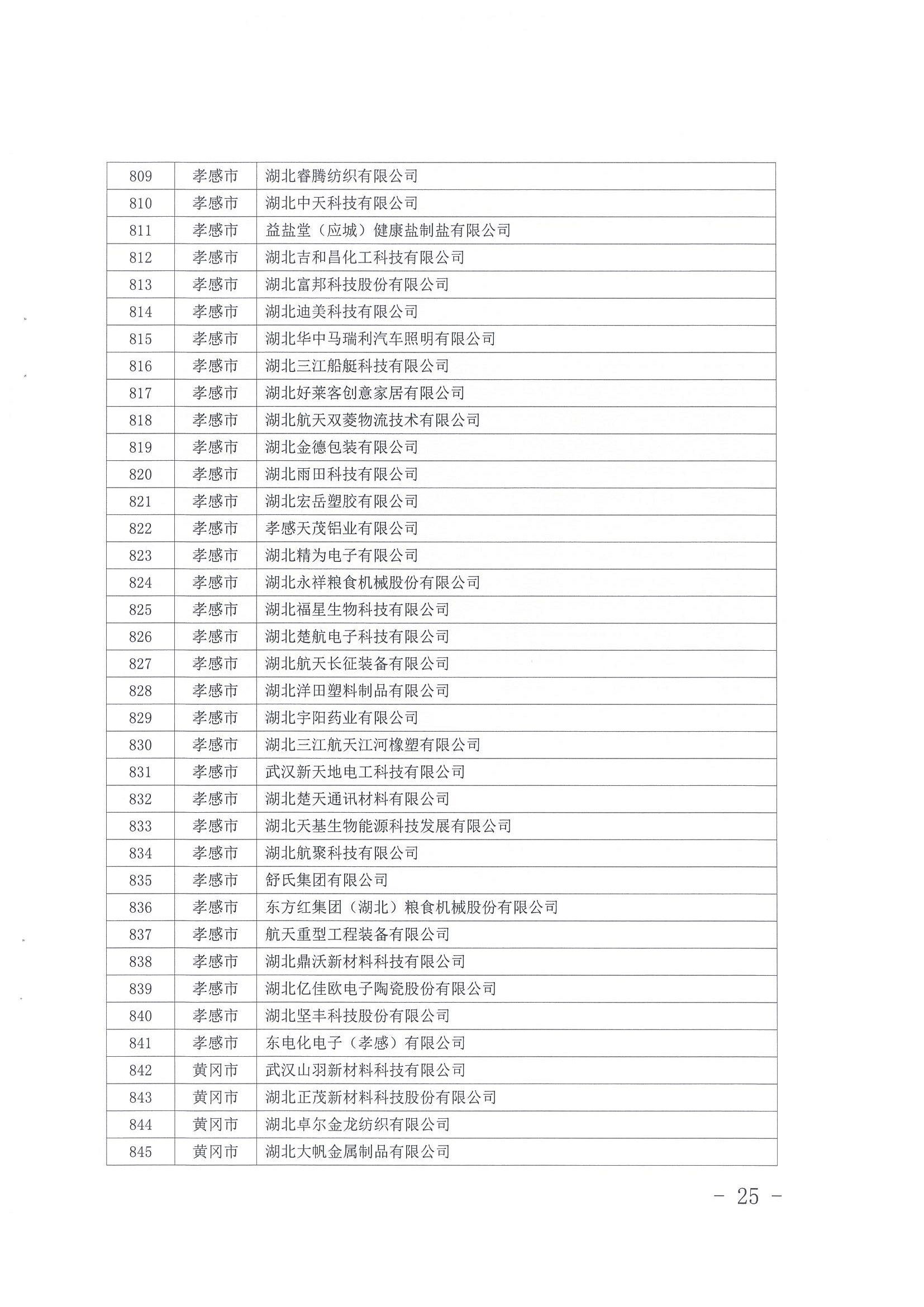 小巨人